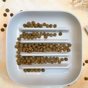 NEW Slow Feeder Bowl: Promoting Healthy and Happy Eating for Your Dog - New